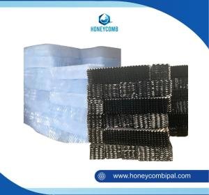 Sarang Tawon Ipal Industri